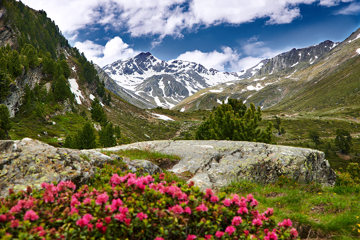 GH8_1177_sm1.jpg