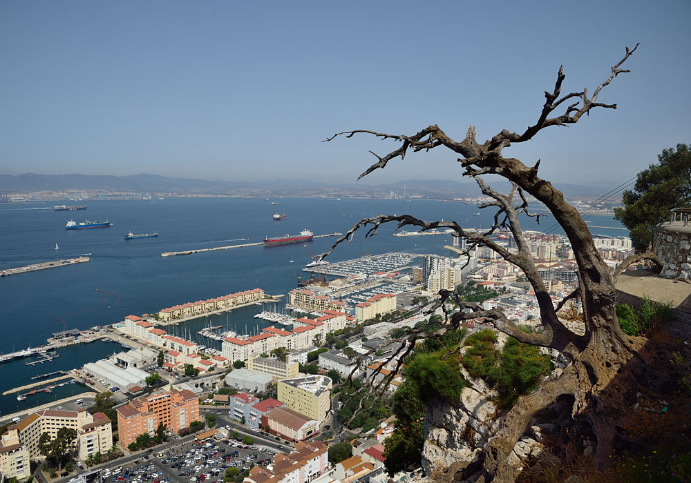 Gibraltar, View Affenbaum