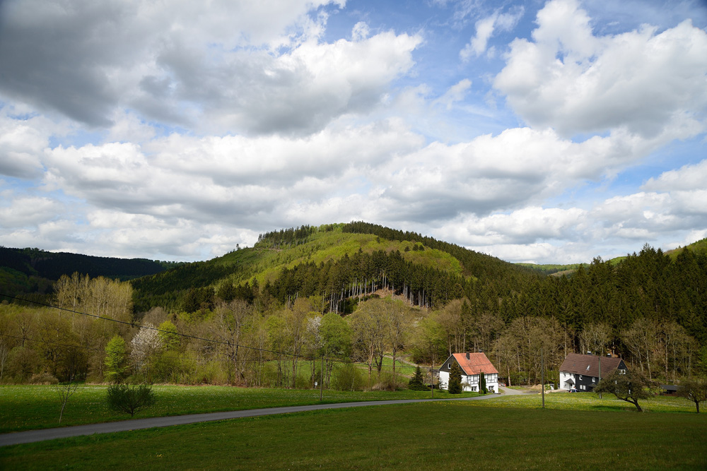 Giesmecke