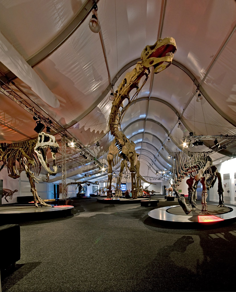 Gigasaurier-Ausstellung Naturmuseum Senckenberg