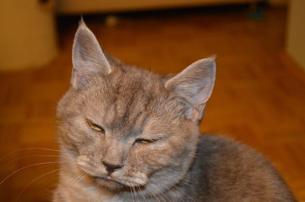 Gina