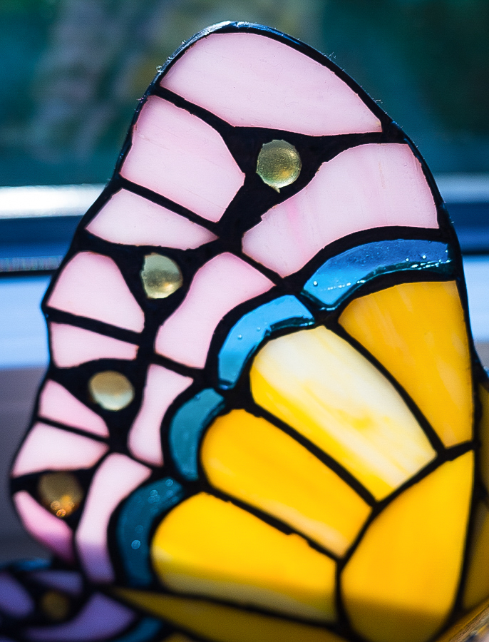 Glasschmetterling (1 von 1).jpg