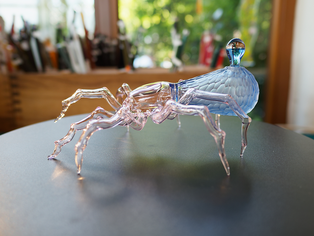 Glasspinne.jpg