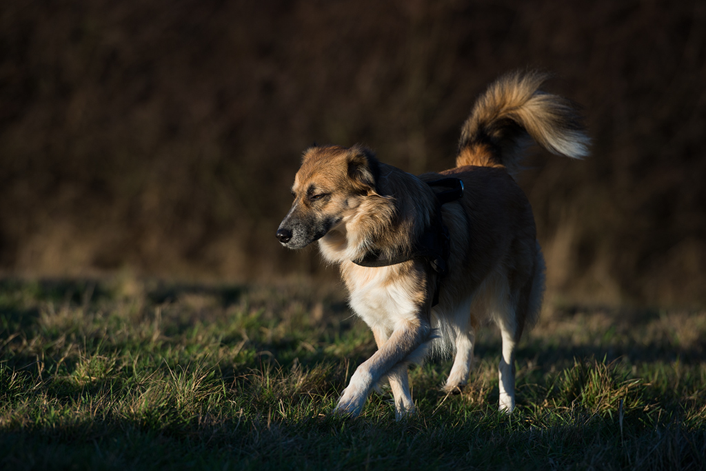 gleißendes Licht