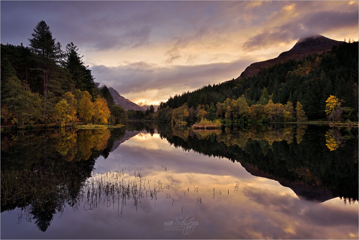 Glencoe