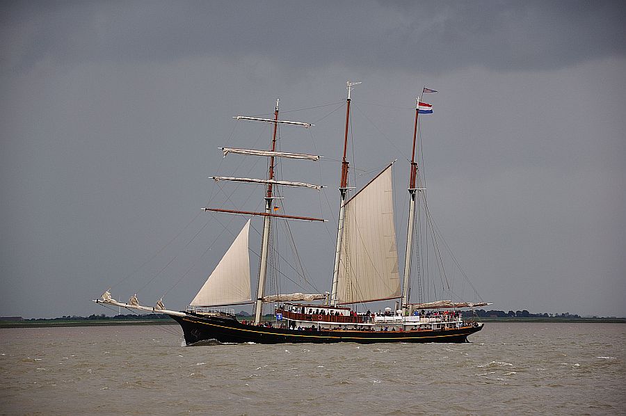 Golden Leeuw
