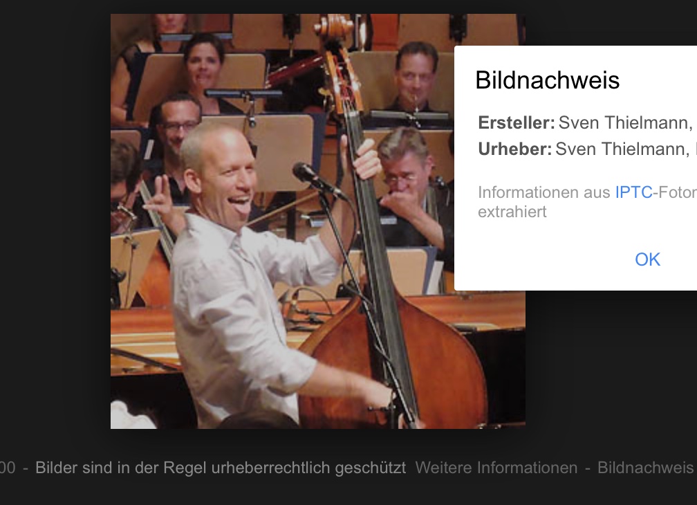 Google Bildersuche