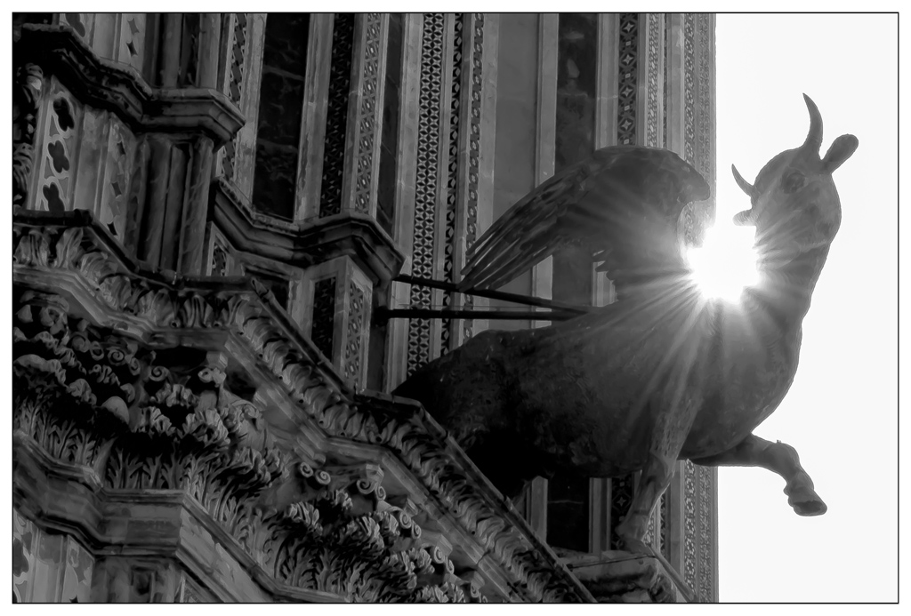 Gottes Auge