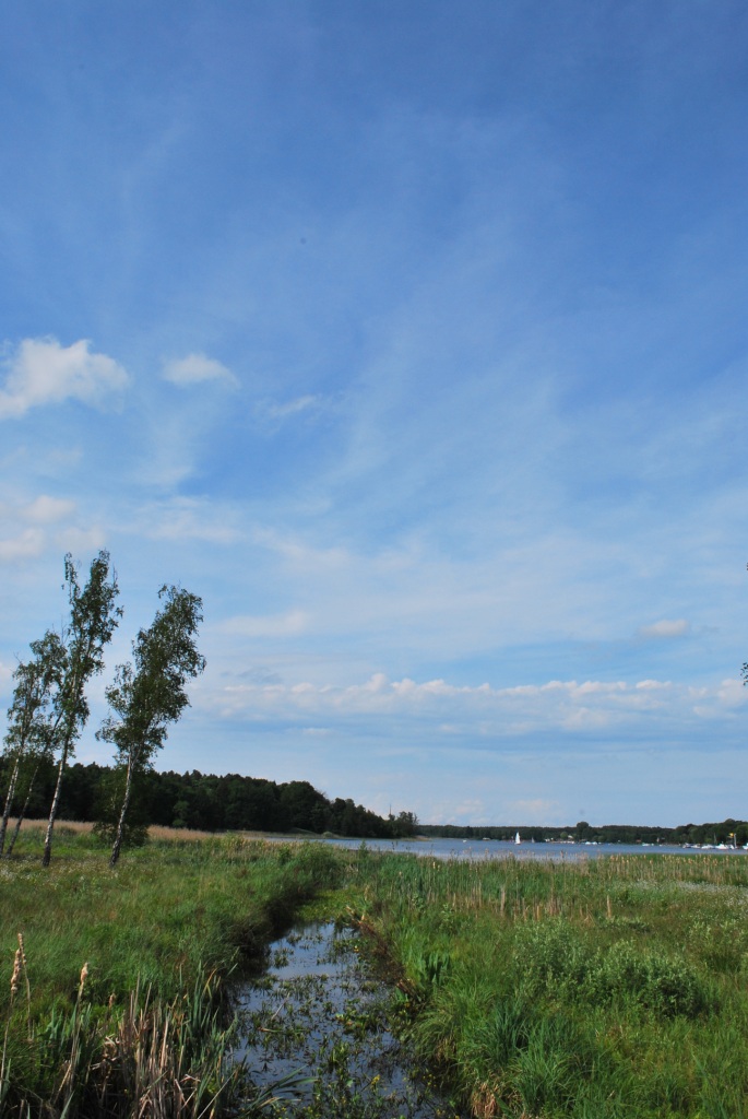 grün zu blaun