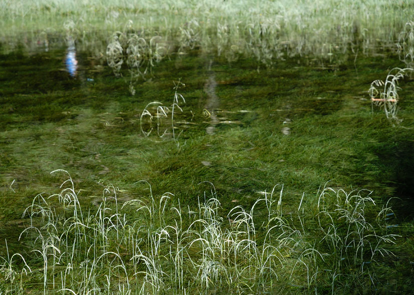 Grüner See - Steiermark (Ö) 2008