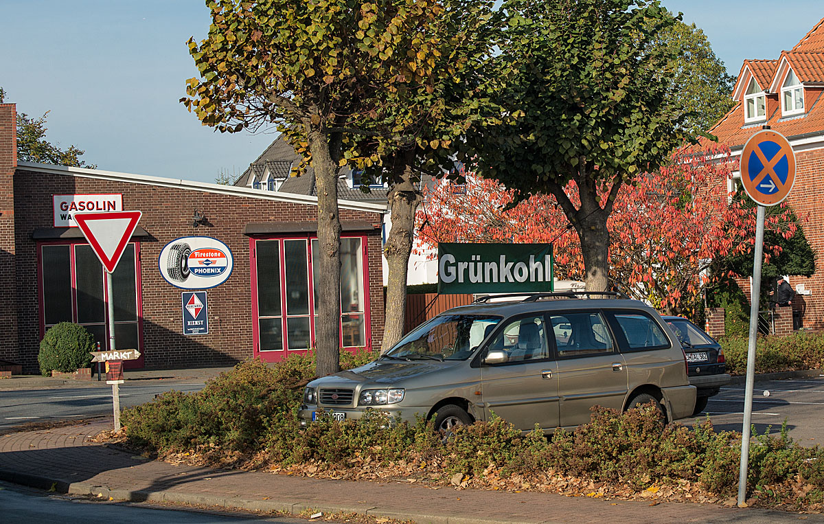 Grünkohl
