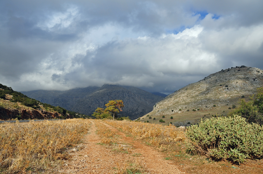 GR7