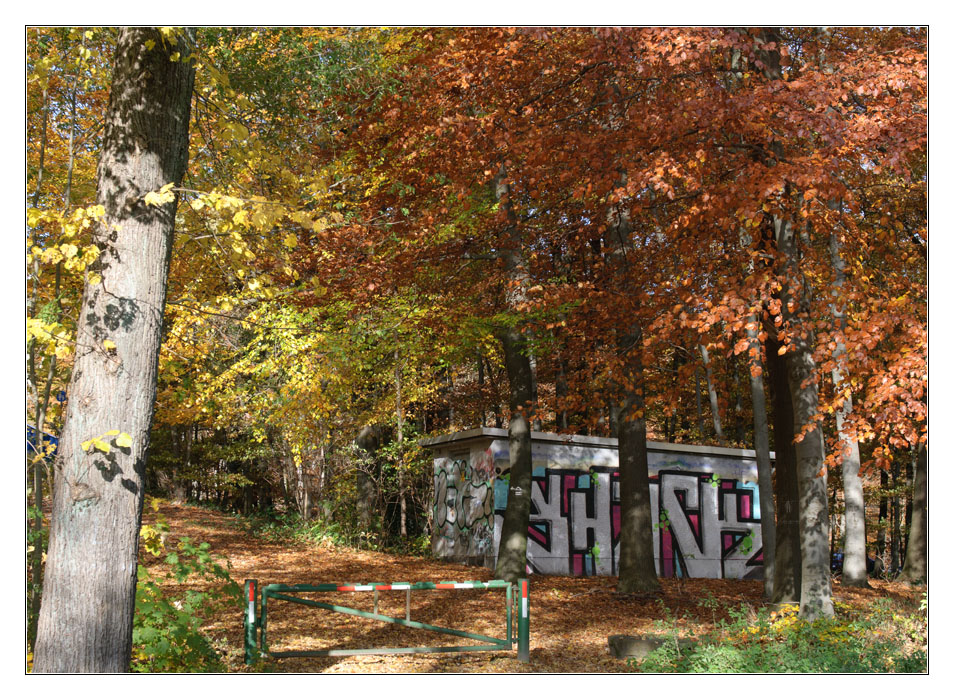 Graffitti