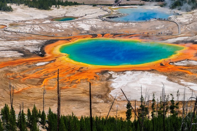 Grand prismatic in Yellowstone