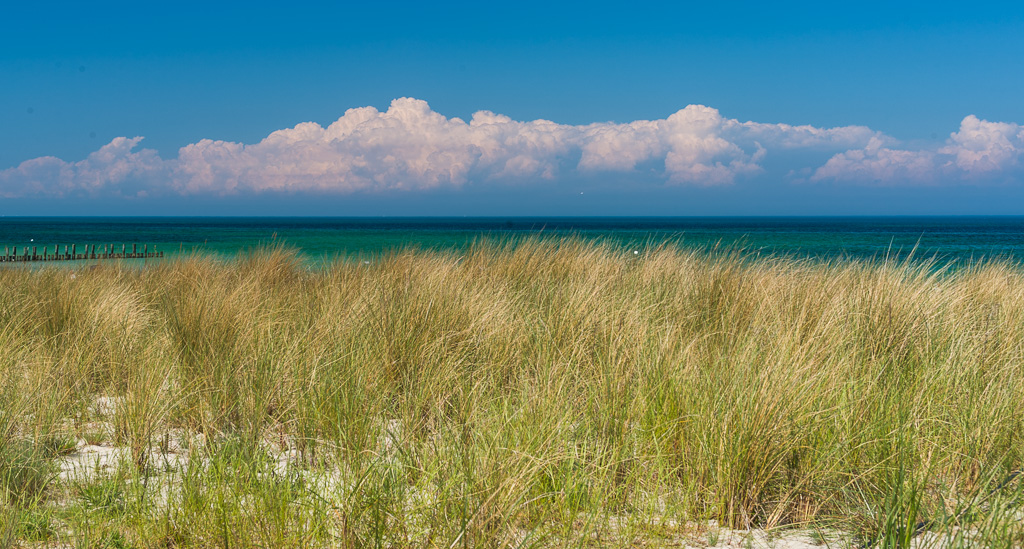 Gras und Meer