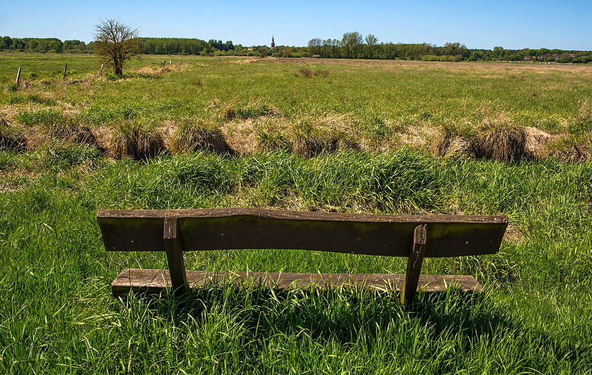 Grasbank