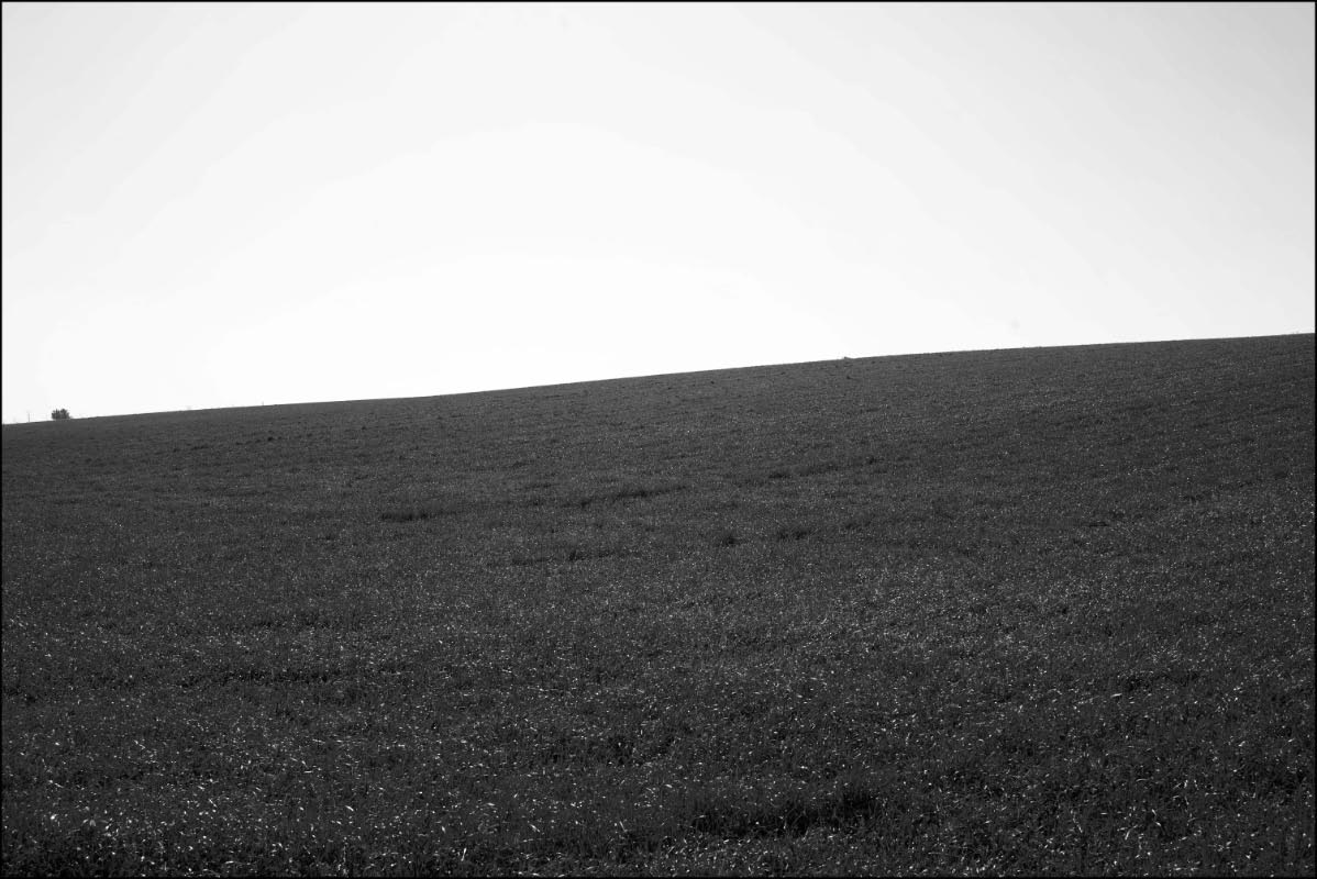 Grashügel_BW_2.jpg