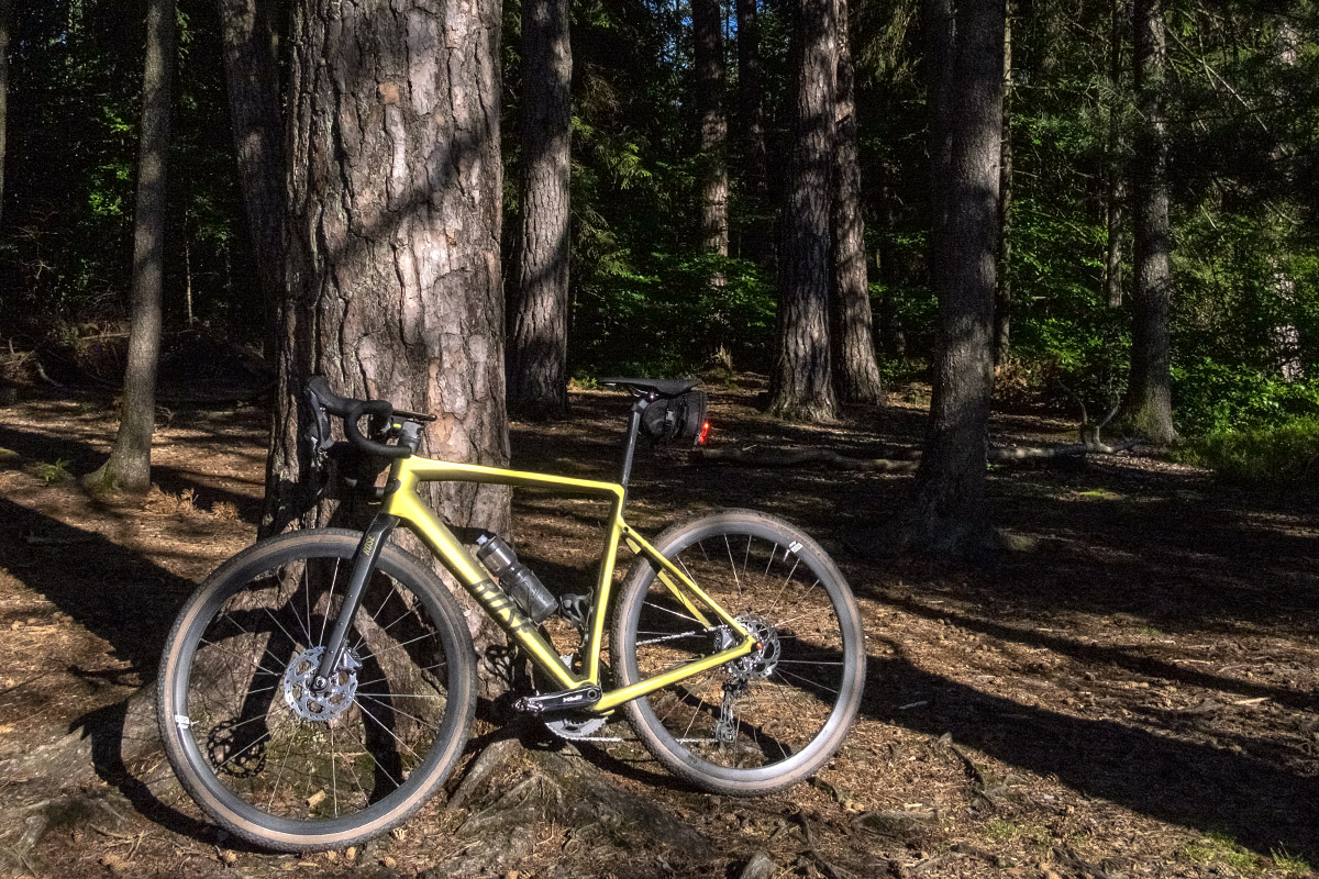 Graveln im Wald