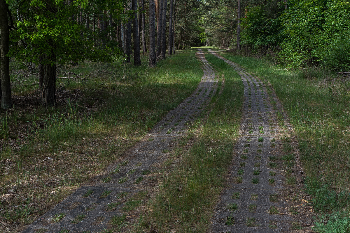 Grenzweg (1 von 1).JPG