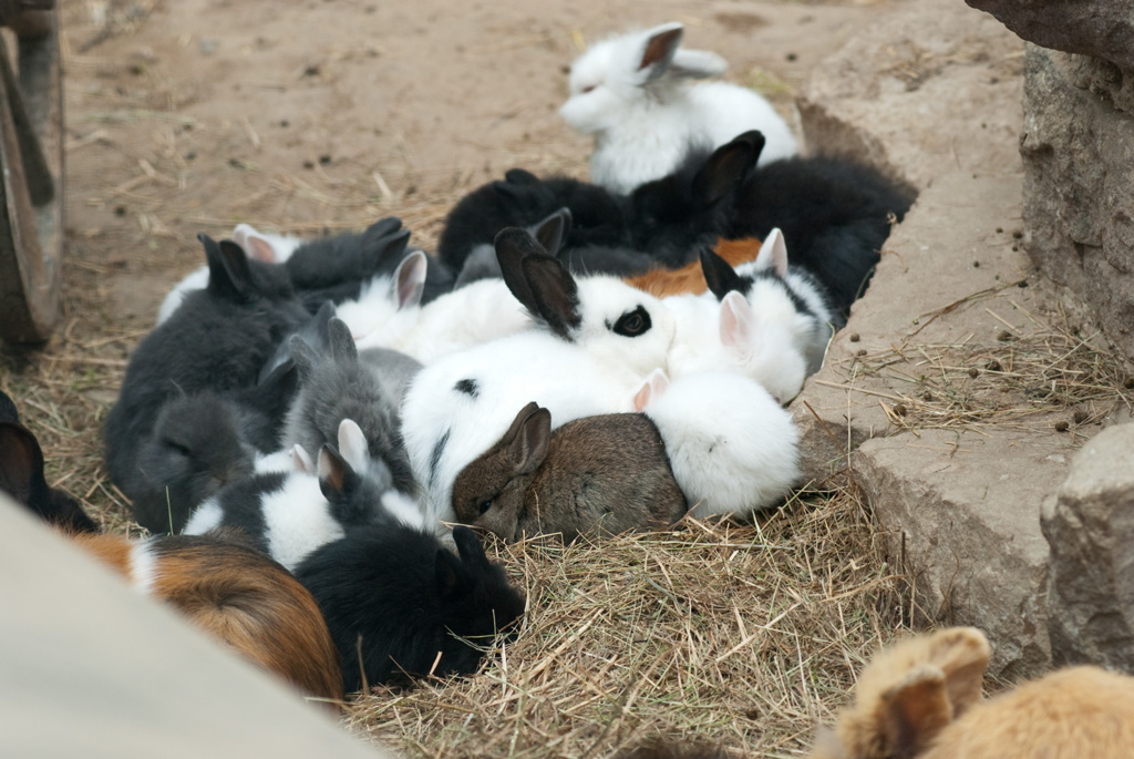 Gruppenkuscheln
