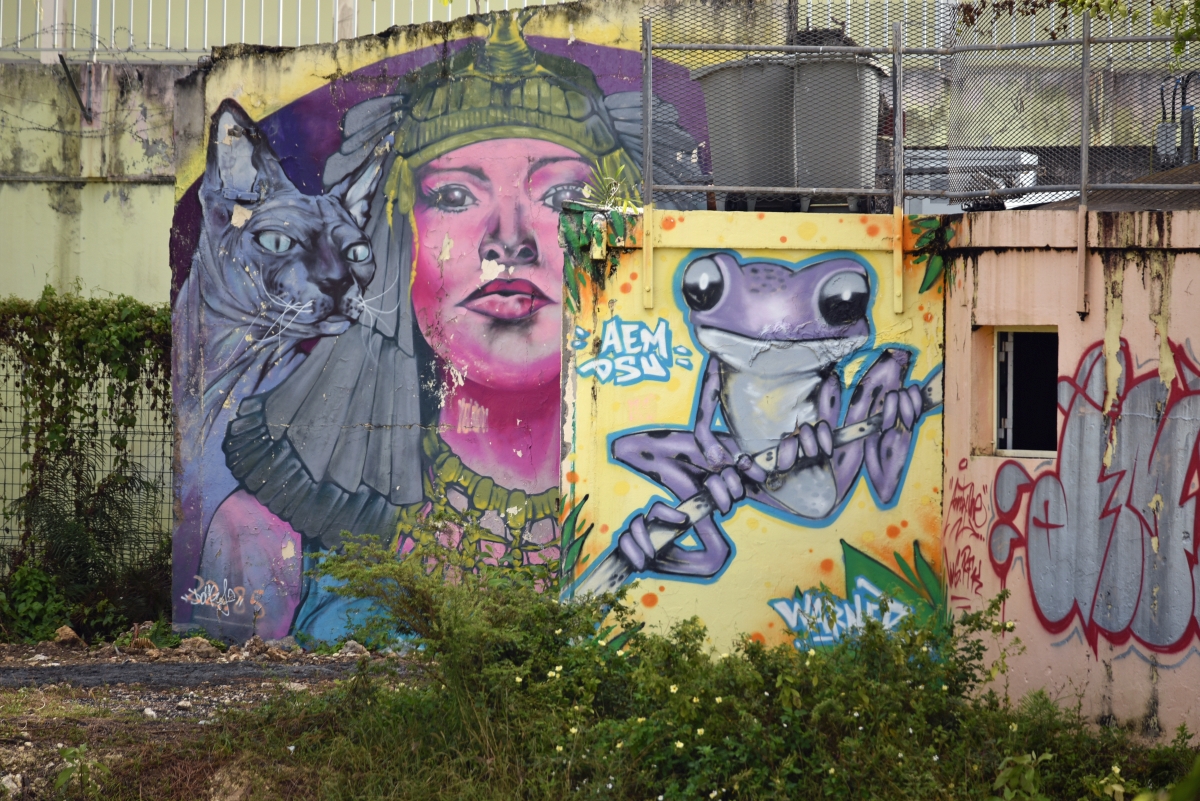 guadeloupe_graffiti_1.jpg