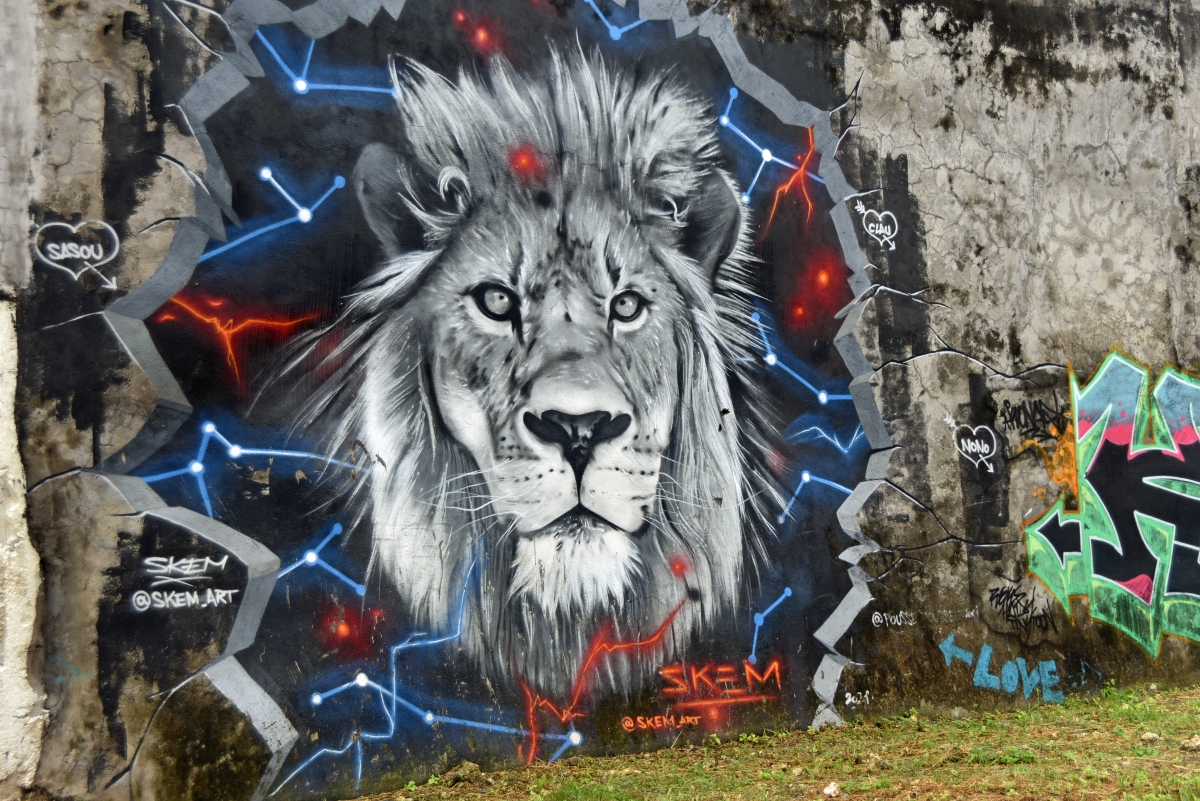 guadeloupe_graffiti_5.jpg