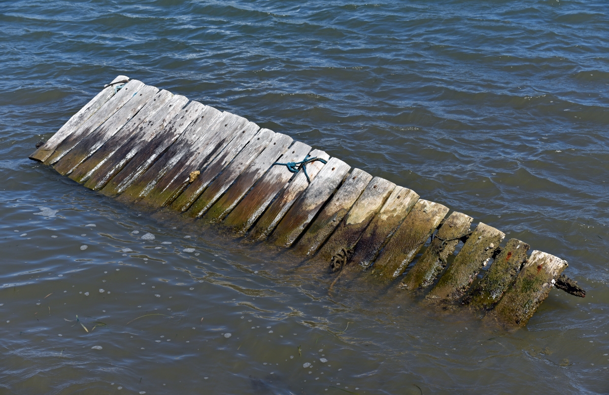 guadeloupe_steg.jpg
