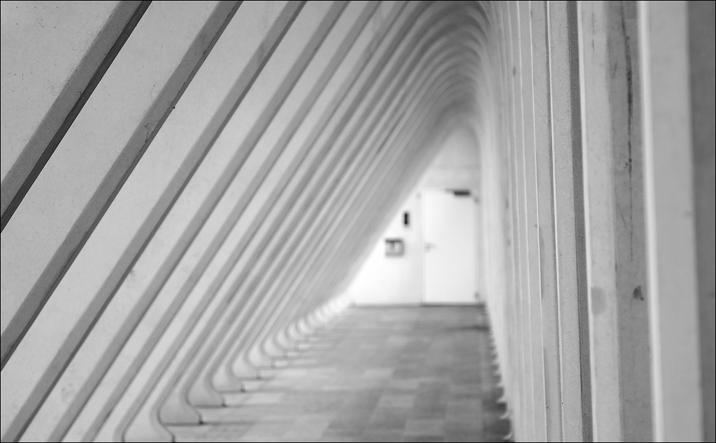 Guillemins