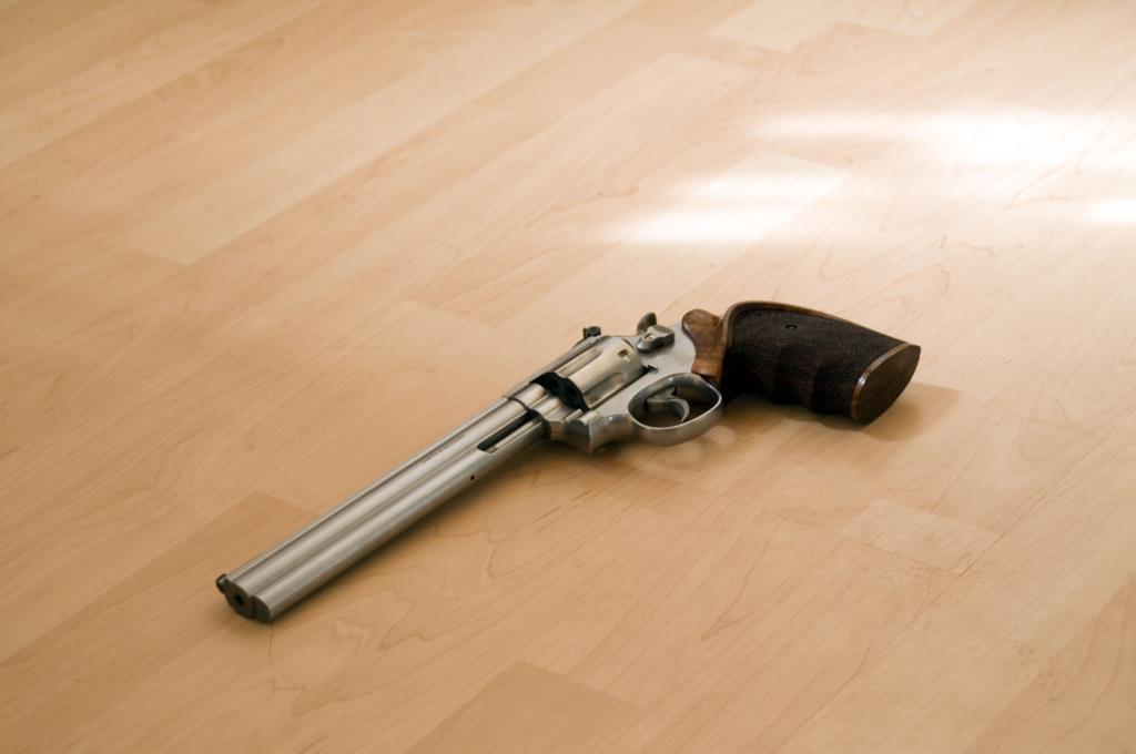 Gun1