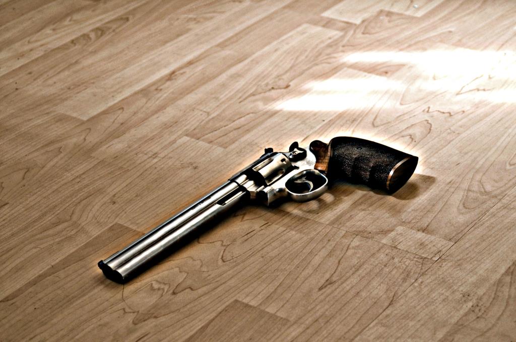 Gun2
