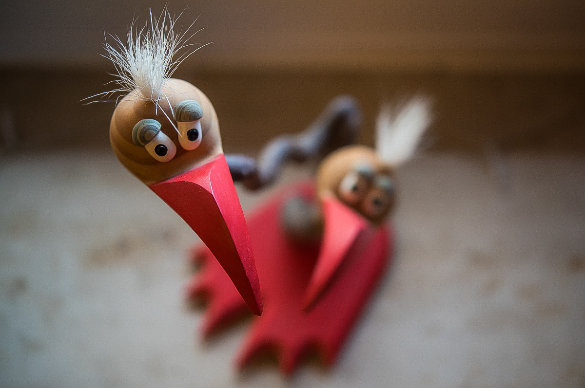 Gute Laune Vögel 6.jpg