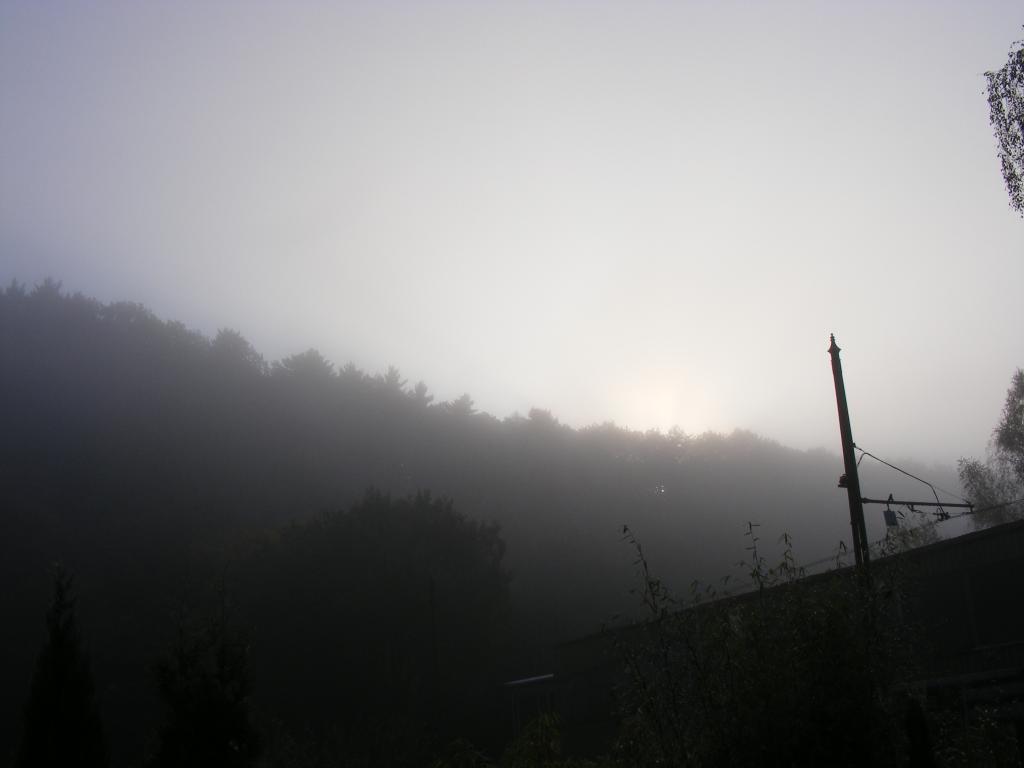Guten morgen 2