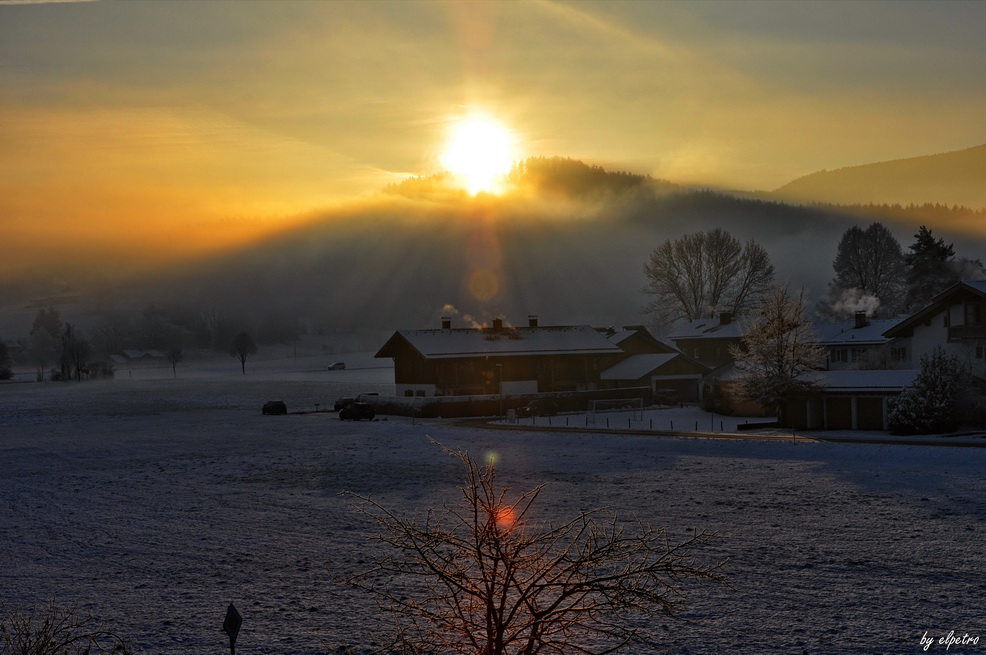 Guten Morgen?