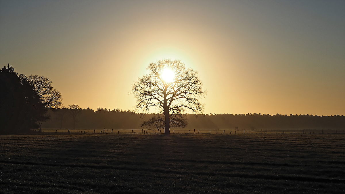 Hämelheide.jpg