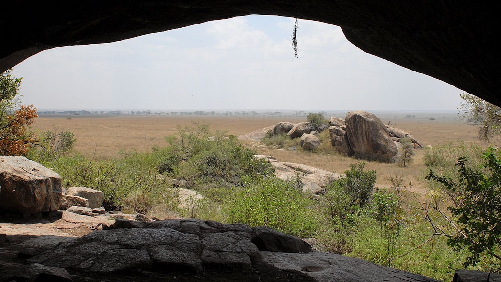 Höhle der Maasai
Moru Kopjes, Serengeti
2212