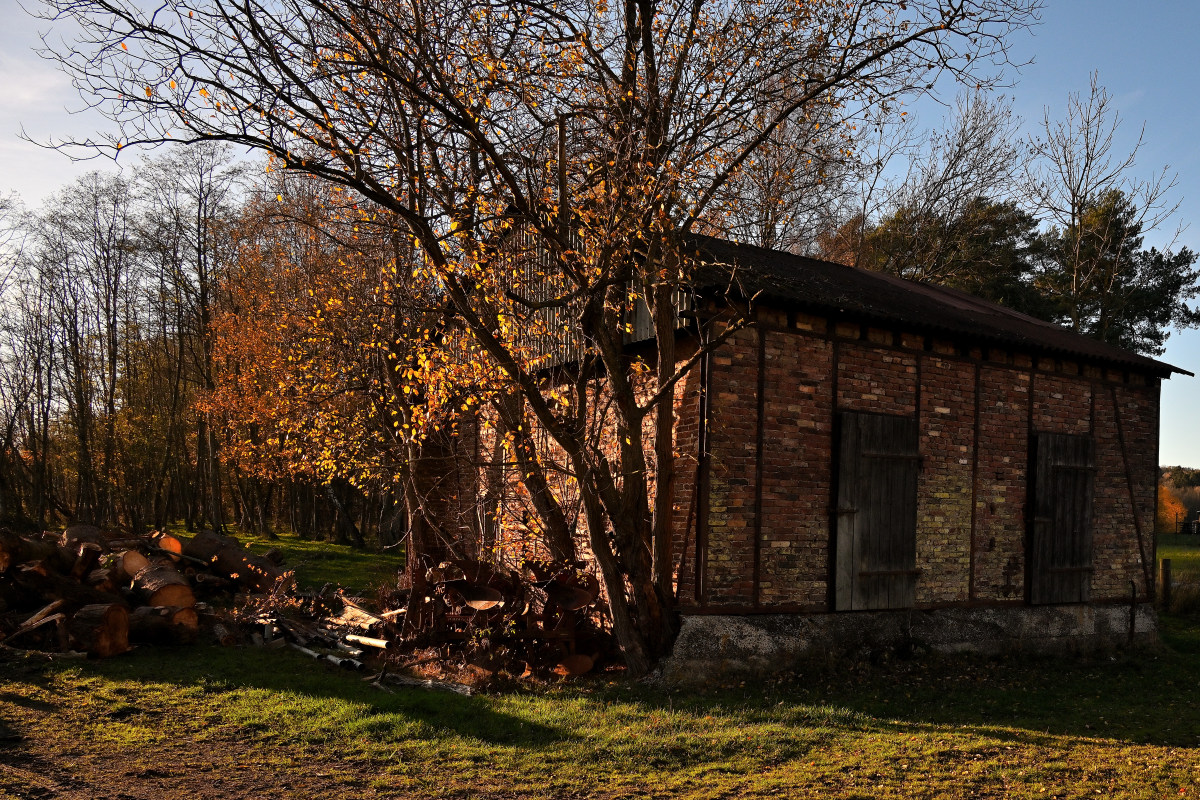 hütte-herschb-2.JPG
