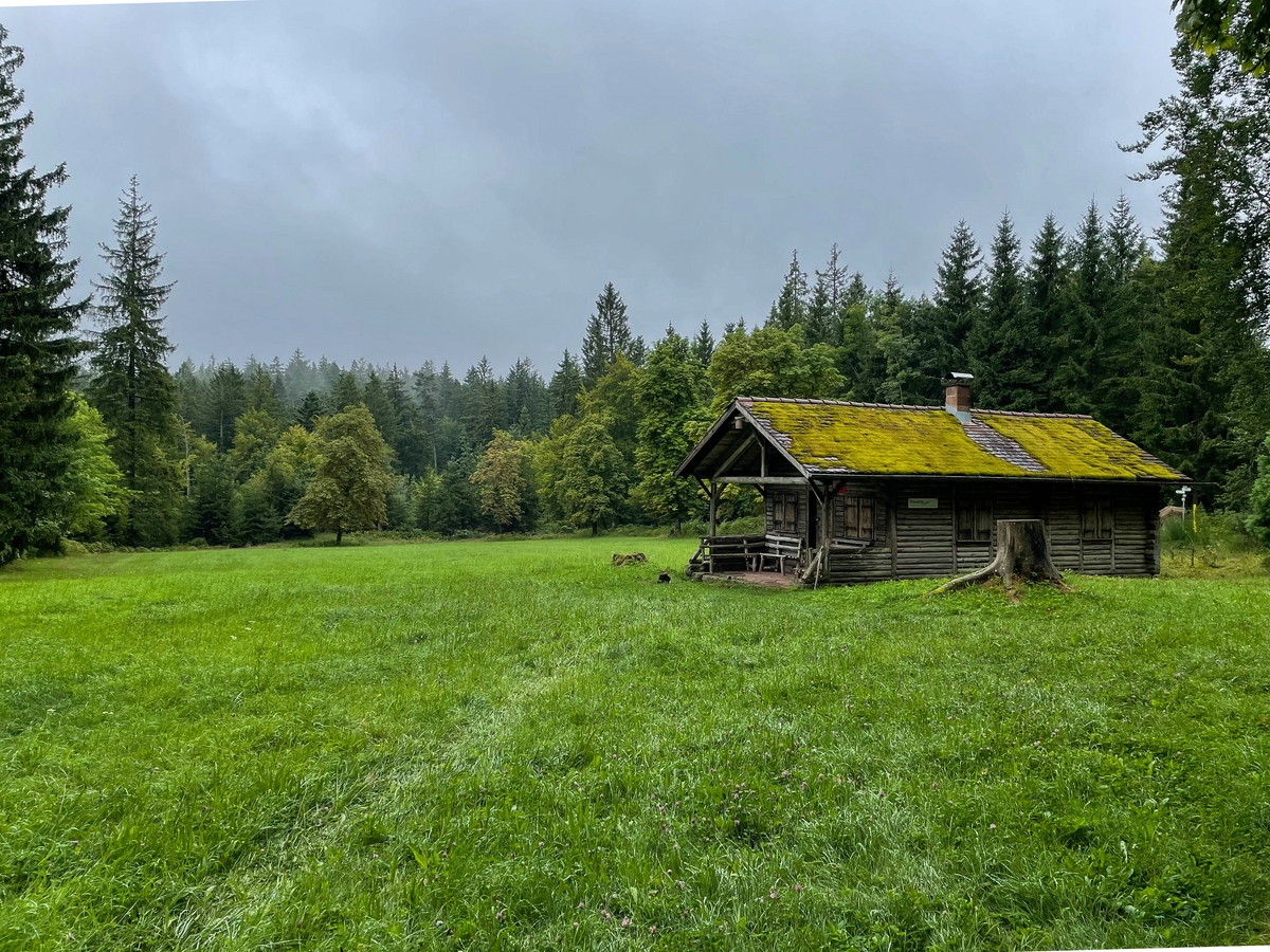 Hütte im Schwarzwald bei Bad Herrenalb.jpg