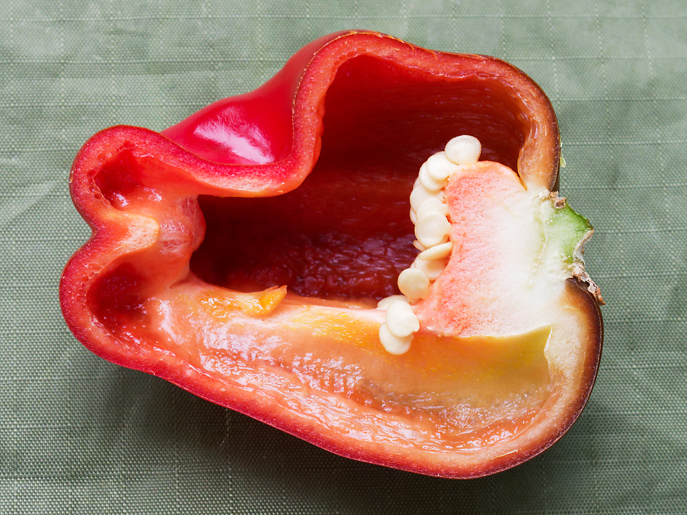 Habanero.jpg
