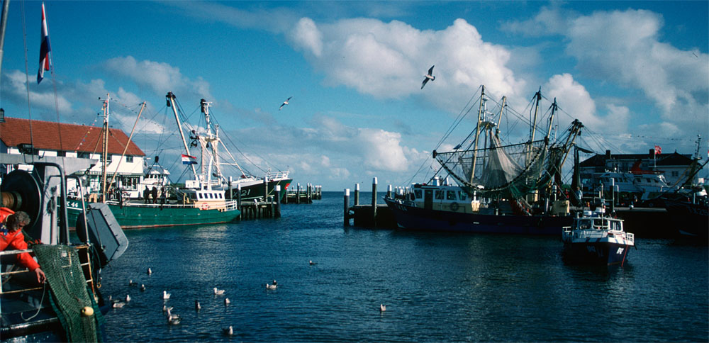 Hafentexel