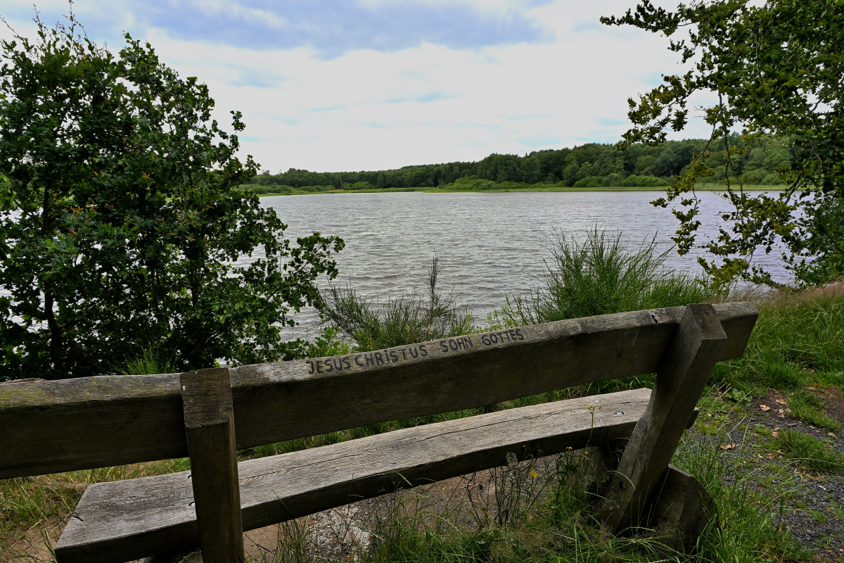 Haiden-Weiher01.JPG