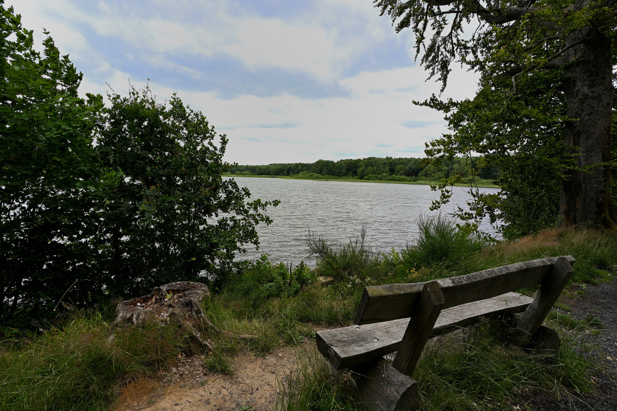 Haiden-Weiher02.JPG