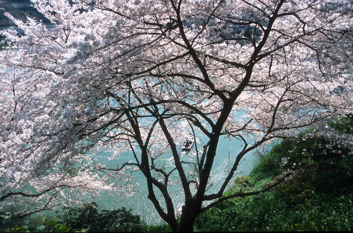 Hakone, Fluß mit Boot.jpg