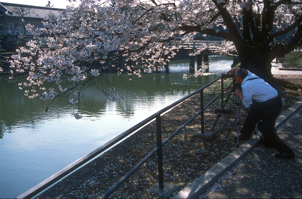 Hakone, Fotograf.jpg