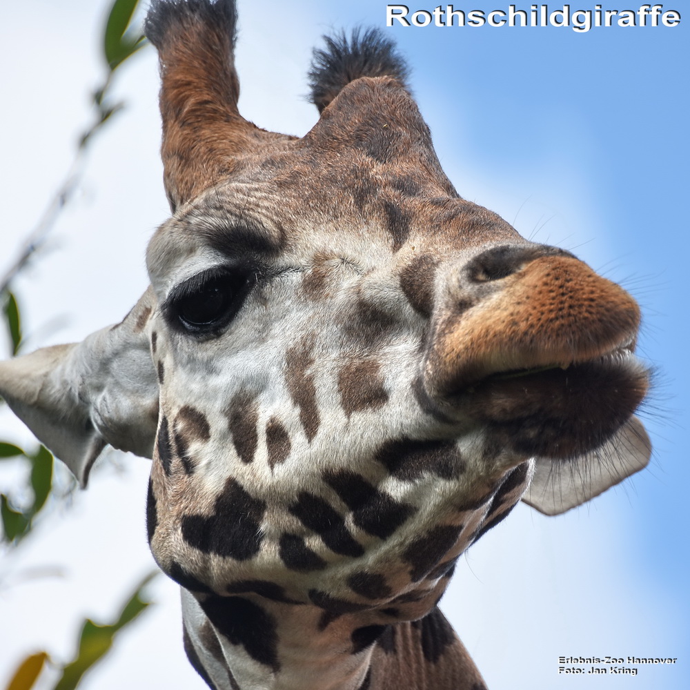 Hallo da unten