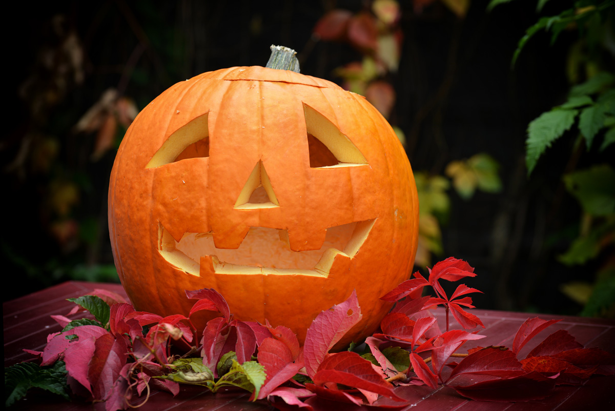 halloween kürbis_1200.jpg