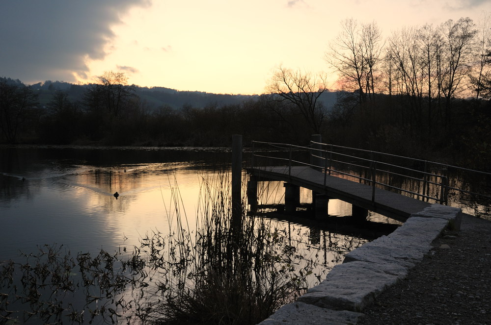 Hallwilersee