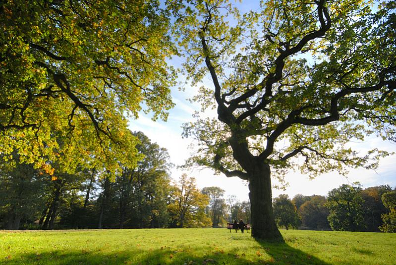 Hamburg, Othmarschen, Jenischpark