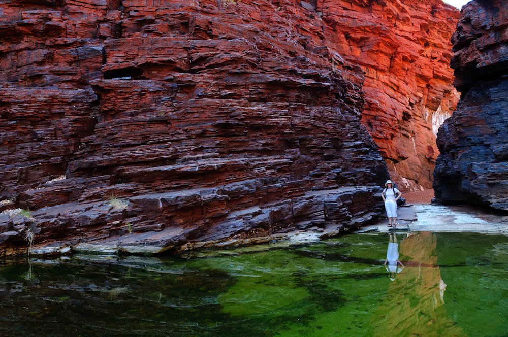 Hamersley range