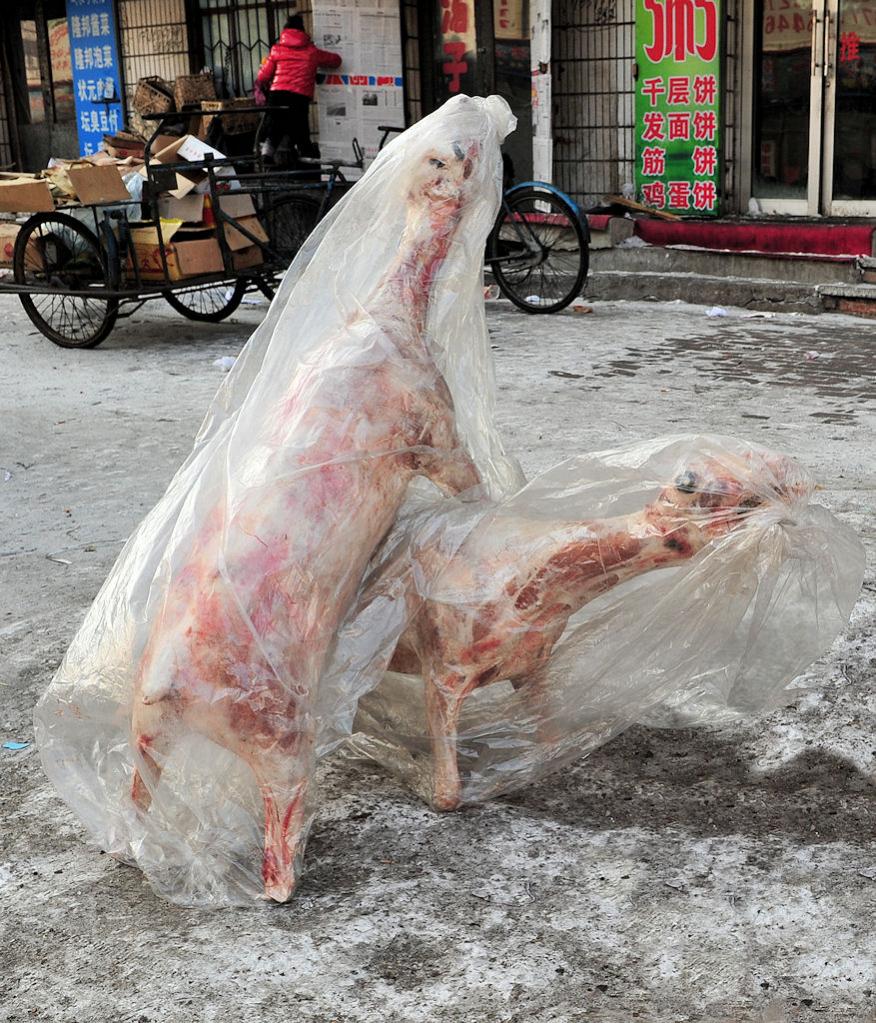 Hammelsprung
Markt in Huanan, Hammel im Plastiksarg
(9825)
