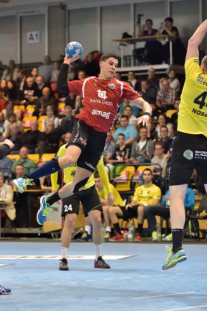 Handball 022015 1